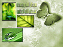 Islamyat (55).jpg